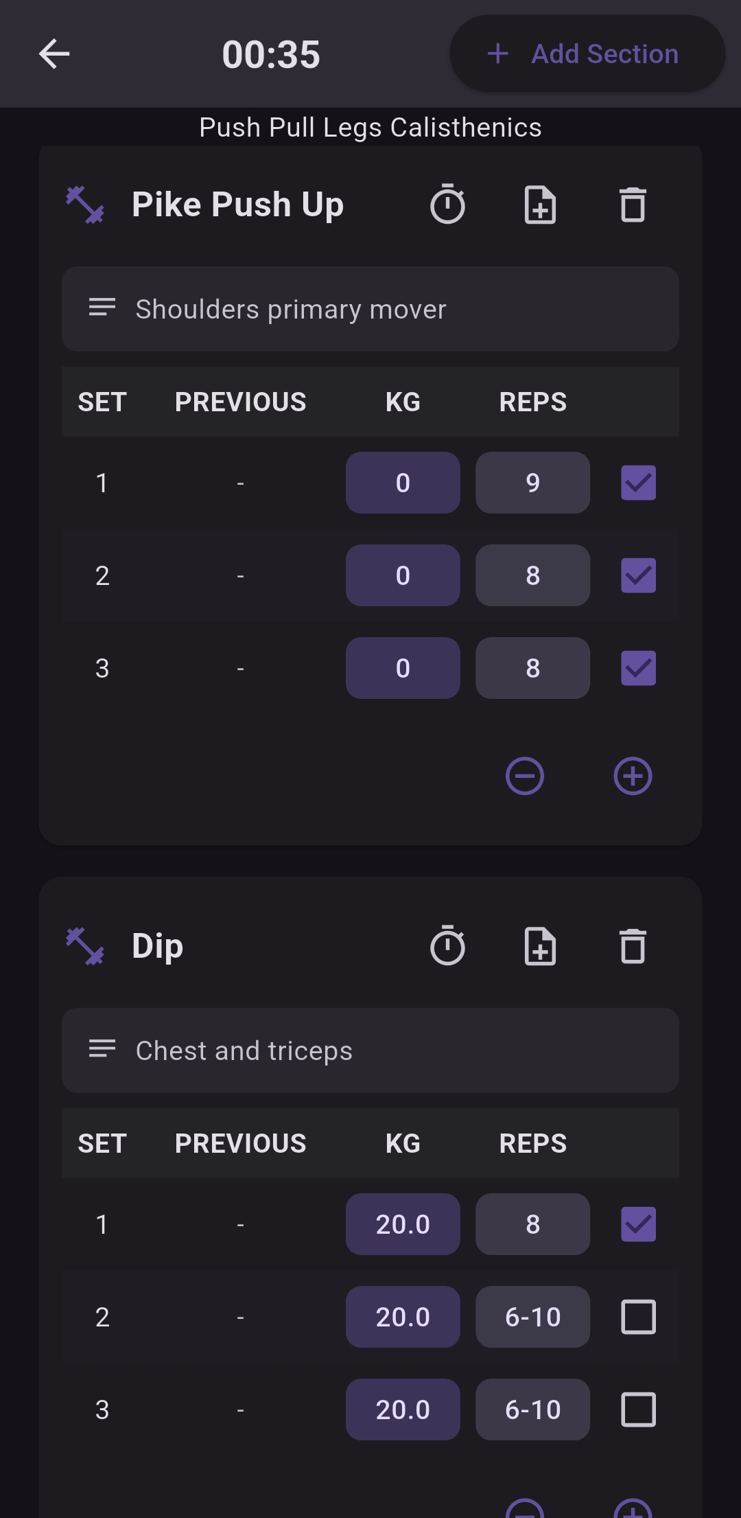 Workout in progress screen